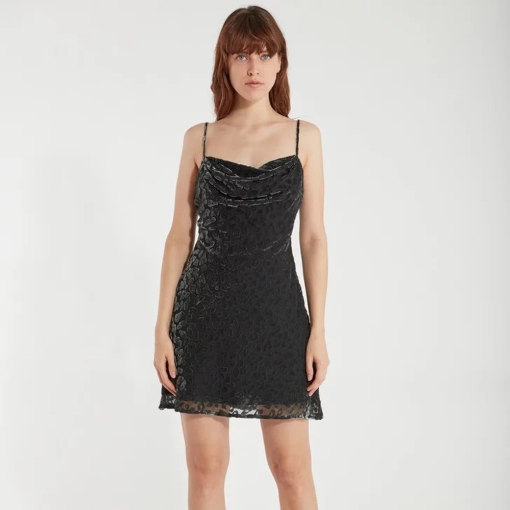 ASTR the Label Gabi Velvet Mini Dress